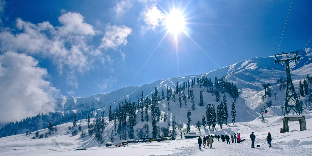 Kashmir Essentials